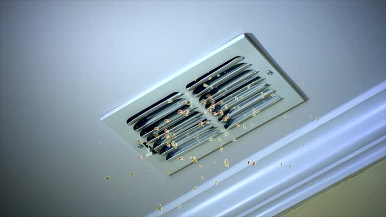 Best Affordable HVAC Duct Cleaning  in St Simons, GA