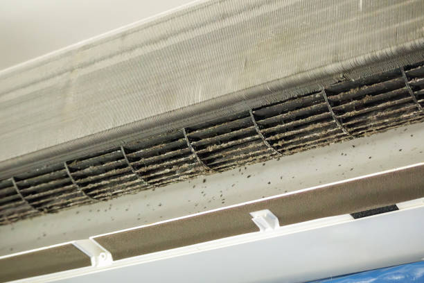 Best Dryer Vent Cleaning Services  in St Simons, GA